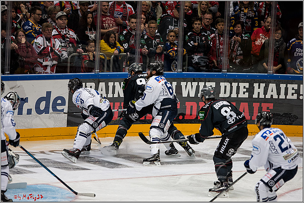 Koelner Haie - Iserlohn Roosters, 09.10.2016